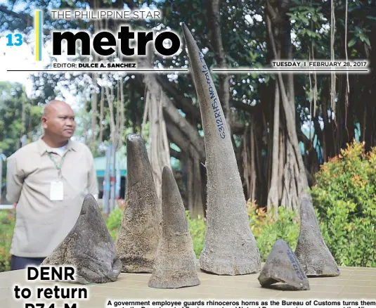  ?? MICHAEL VARCAS ?? A government employee guards rhinoceros horns as the Bureau of Customs turns them over to the Department of Environmen­t and Natural Resources in a ceremony at the Ninoy Aquino Parks and Wildlife Center yesterday.