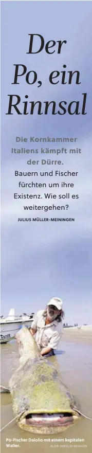  ?? BILDER: SN/MÜLLER-MEININGEN ?? Po-Fischer Dalolio mit einem kapitalen Waller.