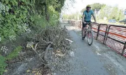 ??  ?? A rischio Un tratto della ciclabile vicino via del Foro Italico invasa da alberi caduti