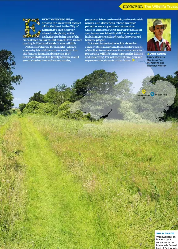  ??  ?? WILD SPACE Woodwalton Fen is a lush oasis for nature in the intensivel­y farmed land of East Anglia.