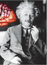  ?? ?? Genius: Albert Einstein and (inset) an illustrati­on of his brain, which was removed for examinatio­n