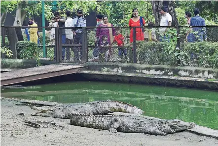  ?? —
PTI ?? Visitors at the National Zoological Park that reopened for public after further ease in lockdown restrictio­ns in New Delhi on Sunday.