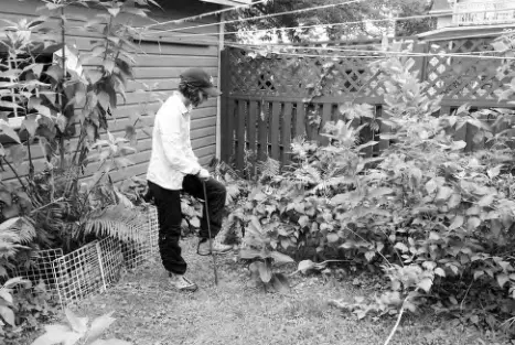  ??  ?? Carly Ziter collects soil samples from the backyard of a study participan­t in Madison, WI, to determine the benefits provided by different types of urban green space