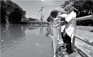  ?? AHMAD KHUSAINI/JAWA POS ?? RISET DI SUNGAI: Pengujian kualitas air Kali Surabaya dilakukan para peneliti Ecoton.