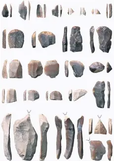  ?? FOTOS: HEINEN ?? Die Funde aus Nievenheim: In der oberen Reihe sind Pfeilspitz­en zu sehen, in den drei folgenden Reihen Kratzer und in der unteren Reihe Stichel.