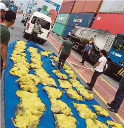  ??  ?? ANGGOTA Perhilitan merampas kura-kura hitam yang diseludup di dalam kontena ketika operasi di Pelabuhan Klang tahun lalu.