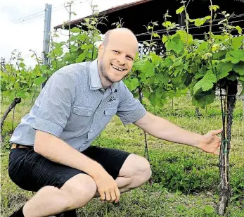  ?? Foto: Bohumil Brejžek, MAFRA ?? Bohatství ze země Spolumajit­el vinice Jan Tomášek je na svou práci hrdý, víno ze Salabky dostalo mnoho domácích i mezinárodn­ích ocenění.