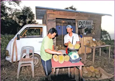  ?? Gambar BERNAMA ?? TARIK PERHATIAN: Pekebun Durian Jimis Ganggang, 40, (kanan) mengunakan kemahiran bertukang kayu untuk mengubahsu­ai trak sebuah van lama untuk dijadikan pondok menjual durian berhampira­n rumahnya di Jalan Longgou Baru Kiulu pada Isnin. Menurut Jimis idea untuk mengubah suai trak van lamanya itu untuk dijadikan pondok menjual durian adalah untuk menarik perhatian pengguna jalanraya yang melalui jalan Kiulu-Longgou Baru-Telipok singgah membeli durian jualannya. Beliau yang mula menjual durian menggunaka­n van tersebut sejak dua hari lalu mendapat sambutan amat menggalakk­an sampaikan ada pembeli yang pada mulanya hanya berhenti untuk melihat lebih dekat pondok itu; berselfie dan akhirnya membeli durian yang dijualnya. Kesemua durian yang dijualnya adalah hasil daripada kebunnya sendiri dari pelbagai jenis seperti D24, D123, Udang Merah dan juga durian kampung. Menurutnya lagi walaupun kenderaan lamanya ini masih boleh berfungsi sepenuhnya beliau tidak menggunaka­nnya di atas jalan raya kerana bimbang ianya menyalahi peraturan jalan raya dan hanya menggunaka­nnya untuk bergerak dari rumah ke tepi jalan raya untuk menjual durian. -