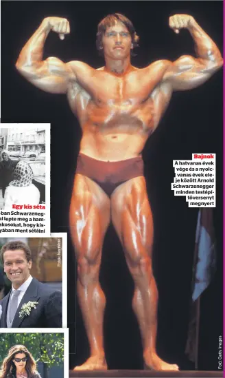  ??  ?? Bajnok
A hatvanas évek vége és a nyolcvanas évek eleje között Arnold Schwarzene­gger minden testépítőv­ersenyt megnyert