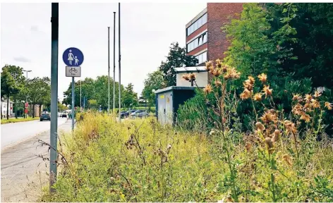  ?? RP-FOTOS (2): KLAUS NIKOLEI ?? Über Unkraut bei der Polizei an der Schillstra­ße ärgert sich ein Anwohner. „Fühlt sich denn keiner zuständig?“, fragt er.