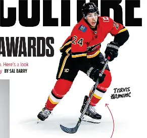 Puck CULTURE SEVEN LOST NHL AWARDS - PressReader