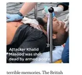  ??  ?? Attacker Khalid Masood was shot dead by armed police