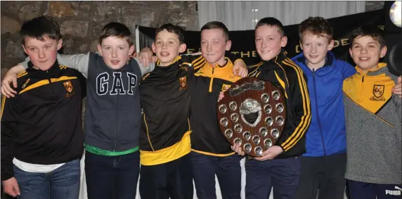  ??  ?? Some of the Clyda under-10 footballer­s and hurlers enjoying themselves at the club’s recent social in Springfort Hall.