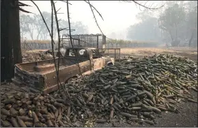  ?? BRIAN VAN DER BRUG/LOS ANGELES TIMES ?? Hundreds of wine bottles lay in the ruins at the destroyed Helena View Johnston Vineyards near Calistoga on Oct. 12.