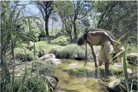  ?? /RUVAN BOSHOFF ?? A stream near Table Mountain has become a source of water for some since taps have run dry in Cape Town.