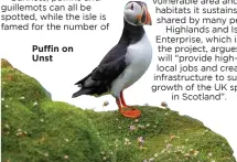  ?? ?? Puffin on Unst