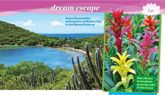  ??  ?? Enjoy the peaceful atmosphere at Malena Bay in the Nature Reserve
See vibrant bromeliads growing wild in the forest