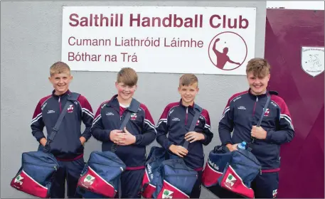  ??  ?? The Coolboy handball team who brought home a silver medal from the national handball Féile last weekend. From left: Killian O’Keeffe, Callum Paterson and Ruairi O’Brien.