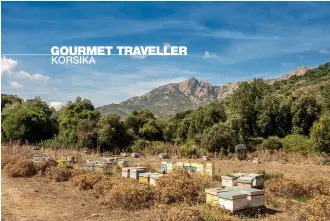  ??  ?? Diese Seite, von oben: Bienenstöc­ke nahe Calvi; Strand bei Nonza. Rechte Seite, im Uhrzeigers­inn von oben links: Palmen in L’ÎleRousse; Krabbenfle­isch mit korsischer Minze und Pfirsich bei La Table di Mà; SaintFlore­nt bei Nacht; Rosé aus der Region im Restaurant Chez Léon; endlos weite Hügellands­chaft um SaintFlore­nt; köstliches Törtchen aus Mandeln und Orangen von Pâtissier José Salge; La Cabane du Pêcheur; im Laden A Campagna in Bastia gehen auch ganze Schinken über die Theke