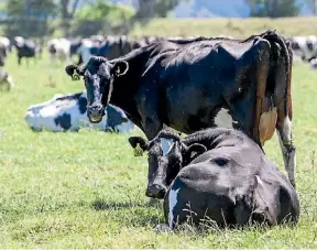  ??  ?? Farming is a big contributo­r to Kiwi emissions levels, but agricultur­e is exempt from control schemes across the world.