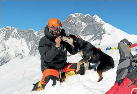  ?? DON WARGOWSKY ?? Mountain dog Mera shares a moment with one of the team of climbers on Nepal’s Mt Baruntse.