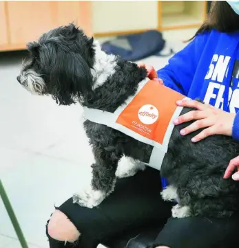  ?? EFE ?? Los animales actúan de nexo entre los padres y niños que viven en centros tutelados