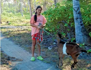  ??  ?? Friendly locals and their pets are an essential part of the Atiu experience.