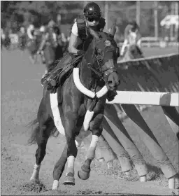  ?? BARBARA D. LIVINGSTON ?? Catholic Boy, who is being considered for the Travers, works on dirt Sunday for the first time since before the Florida Derby.