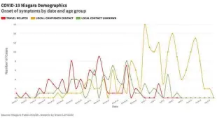  ?? GRANT LAFLECHE TORSTAR ?? Charting Niagara’s COVID-19 cases by their types shows community transmissi­ons spiked in April, at the same time outbreaks were declared in several long-term care and retirement homes.