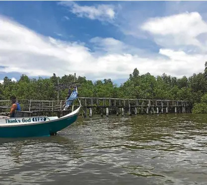  ?? —TONETTE OREJAS ?? PROTECTION This mangrove forest protected 285 families at Barangay Batang Dos in Sasmuan town when strong winds whipped up by Typhoon “Glenda” battered the provinces of Pampanga and Bataan in July 2014.