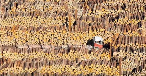  ?? Photo / File ?? China has begun a large spend on infrastruc­ture, pushing up the price of logs, for the first quarter at least.
