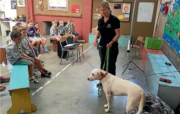  ?? SKARA BOHNY/THE LEADER ?? Vikki Pickering and her dog, Asha, show the Kea scouts at Brightwate­r how to great strange dogs.