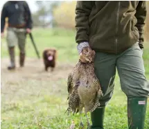  ?? ?? Demand for game is increasing, but quality remains essential
Sitting in a muddy ditch, waiting for geese at sunrise, what are you drinking?
51% Coffee
15% Beef consommé