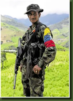  ?? ?? AUTHORITY A guerrilla poses for a picture with the bright green coca plantation­s of Micay Canyon as his backdrop.