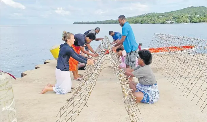  ?? Picture:SUPPLIED ?? The Lau Seascape Initiative team assist with coral planting programs across the districts in Lau.