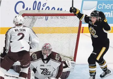  ?? CLIFFORD SKARSTEDT EXAMINER ?? Newly acquired Peterborou­gh Petes defenceman Hudson Wilson and goalie Tye Austin look away as Sarnia Stings’ Brayden Guy celebrates a goal during first period OHL action on Thursday night at the Memorial Centre. The Sting beat the Petes 4-2.