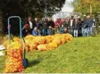  ?? Foto: Caritas ?? Stolz auf ihre Ernte: Die Mitarbeite­r der Ulrichswer­kstätten.