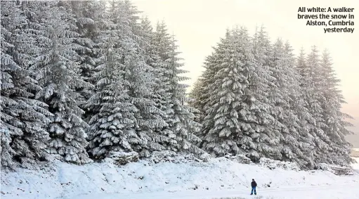  ??  ?? All white: A walker braves the snow in Alston, Cumbria yesterday