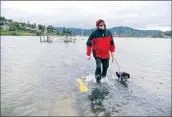  ?? ?? REED FREIDINGER walks his dog along a f looded bike path in Mill Valley during a king tide last year.