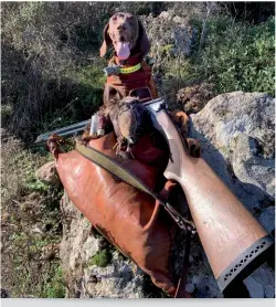  ?? ?? Bruna, di Federico Ebau, con il suo bottino. La foto è stata scattata nel sud Sardegna, località Villassalt­o