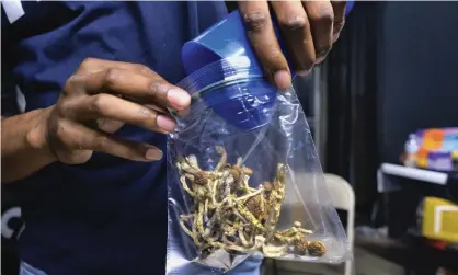  ?? Photograph:Richard Vogel/AP ?? A vendor bags psilocybin mushrooms at a cannabis marketplac­e in Los Angeles in May 2019. Oakland city council voted on Tuesday to decriminal­ize the possession and use of entheogeni­c, or psychoacti­ve, plants and fungi.