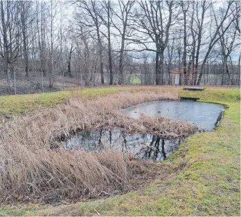  ?? FOTO: WOLFGANG KRAFT ?? Das Regenüberl­aufbecken Schnabelau kommt in die Jahre und so drohen Schäden am Stahlbeton.