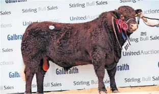  ?? ?? Top notch Local breeder Murray Lyle’s overall Salers champion, Strathalla­n Petrous, also topped the sale ring at 8,000gns