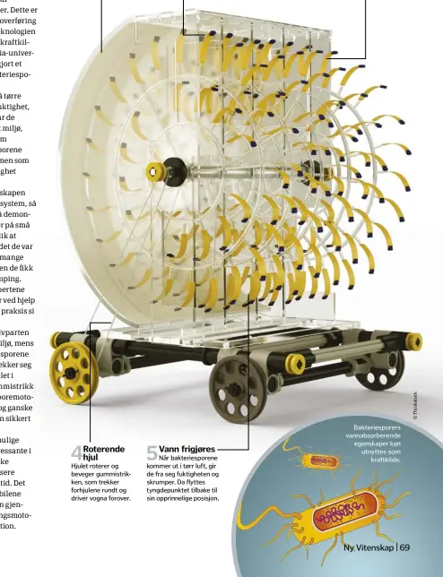  ??  ?? Fordampnin­g
Når vannet i kammervegg­ene fordamper, skaper det et fuktig miljø. Roterende hjul
Hjulet roterer og beveger gummistrik­ken, som trekker forhjulene rundt og driver vogna forover. Bakteriesp­orer
De små sporene på båndene i kammeret...