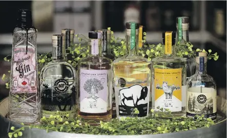  ?? DAVID BLOOM ?? Take your pick of these Alberta gins and make a fine G&amp;T, perhaps garnished with juniper berries.
