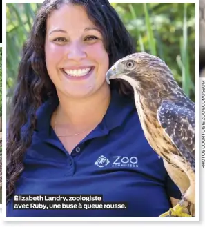  ??  ?? Élizabeth Landry, zoologiste avec Ruby, une buse à queue rousse.