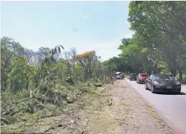  ??  ?? Daños. Parte de los árboles que fueron talados en los últimos días en el parque El Obrajuelo.