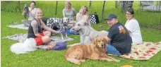  ?? FOTO: SILVIA MÜLLER ?? Die Hundebesit­zer nutzten die Gelegenhei­t für Gespräche und Picknick.