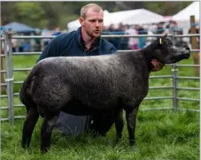  ?? ?? Supreme sheep was the Blue Texel from J and D Hodge Ref:RH04052409­7