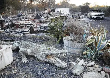  ?? — AFP photo ?? An alligator statue sits next to a home that was destroyed by the Wall Fire in Oroville, California.